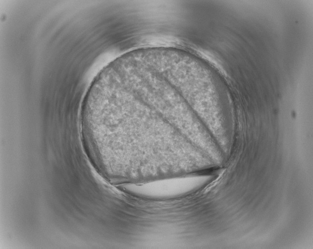 X0000070421471200607072322