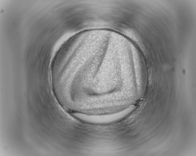 X0000070421472200607072322