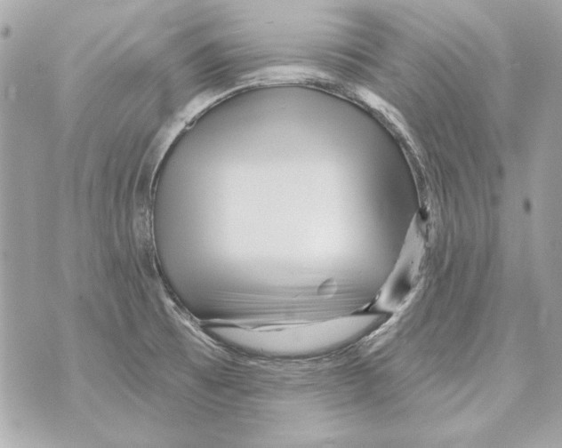 X0000070421473200607072322