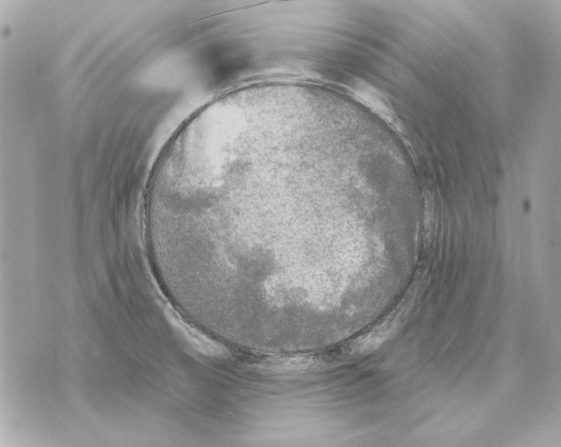 X0000070421474200607072322