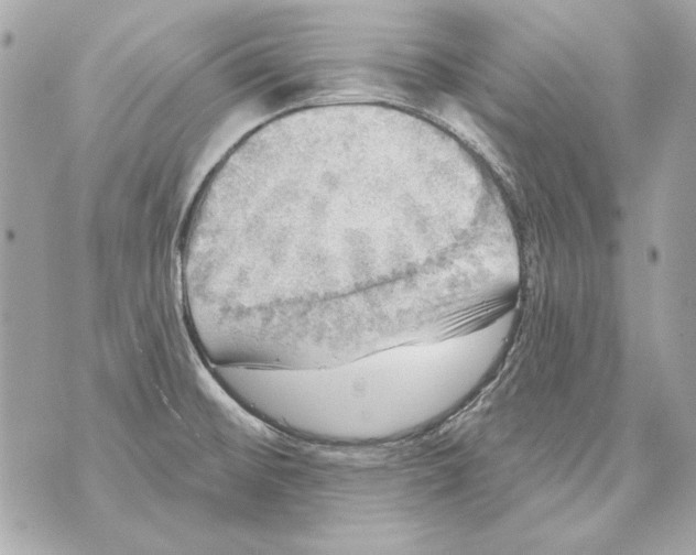 X0000070421476200607072322