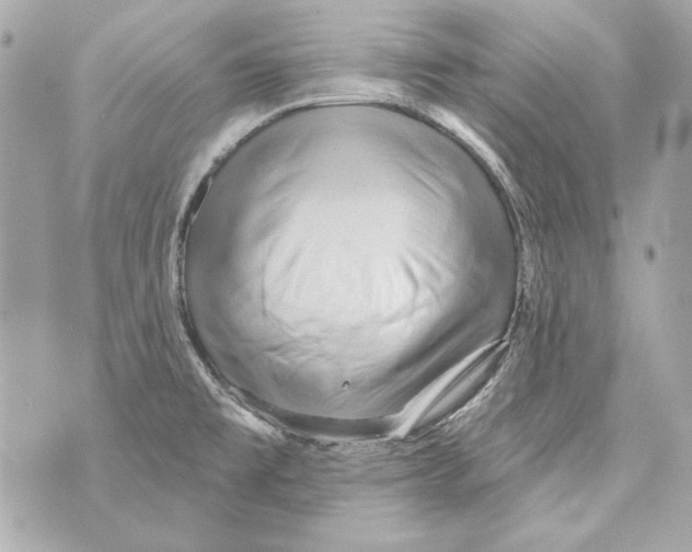 X0000070421477200607072322