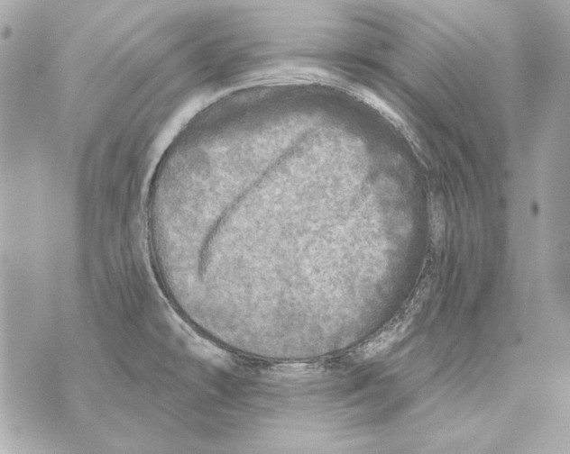 X0000070421478200607072322