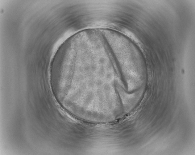 X0000070421480200607072322