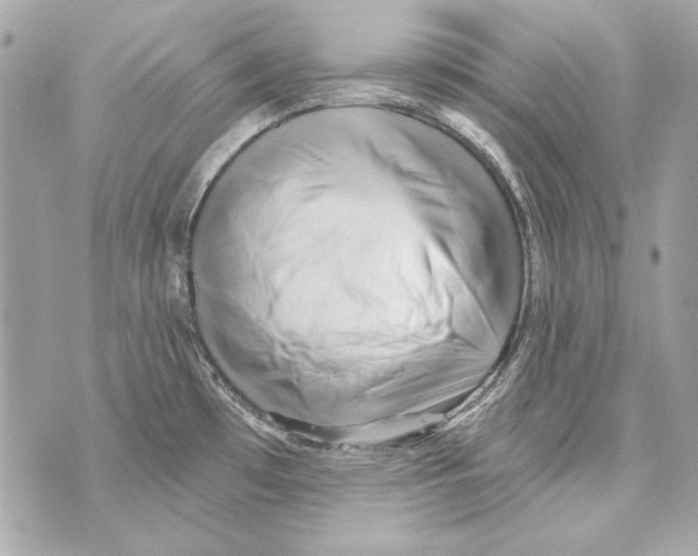 X0000070421481200607072322