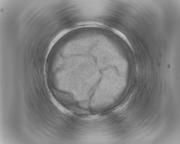 X0000070421482200607072322