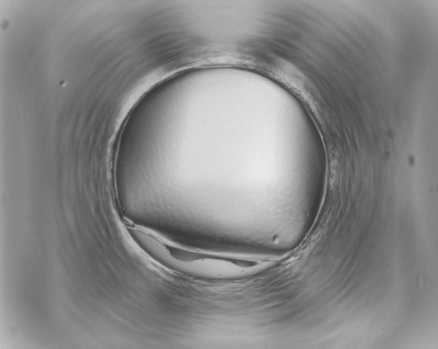 X0000070421483200607072322