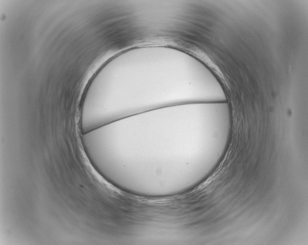 X0000070421484200607072322