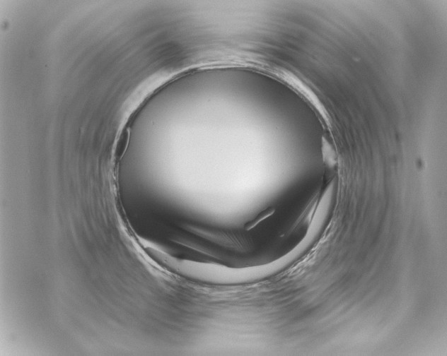 X0000070421485200607072322