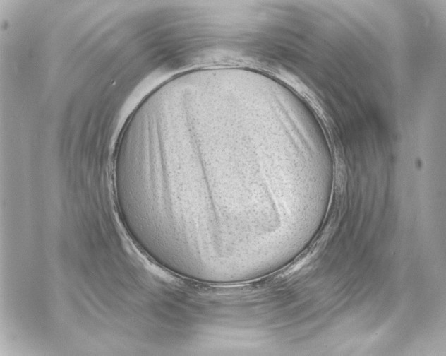 X0000070421486200607072322