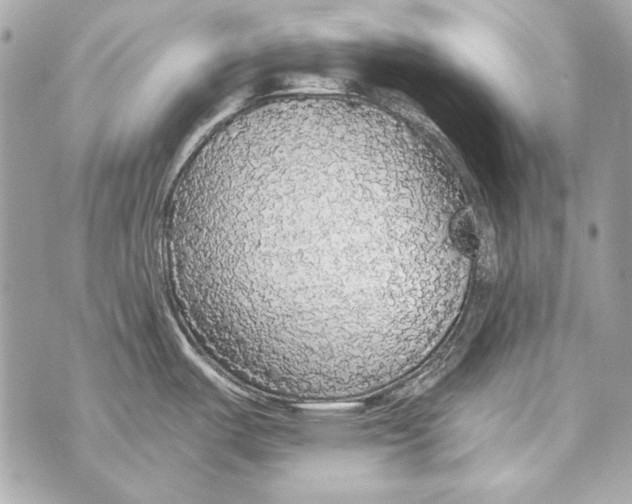 X0000070421487200607072322