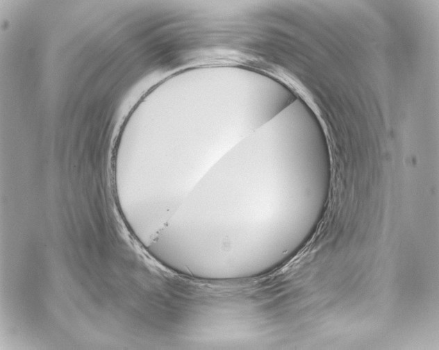 X0000070421488200607072322