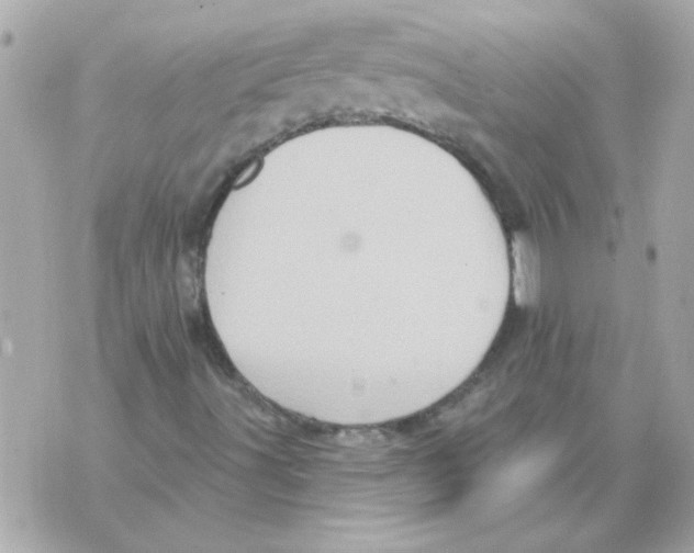 X0000070421491200607072321