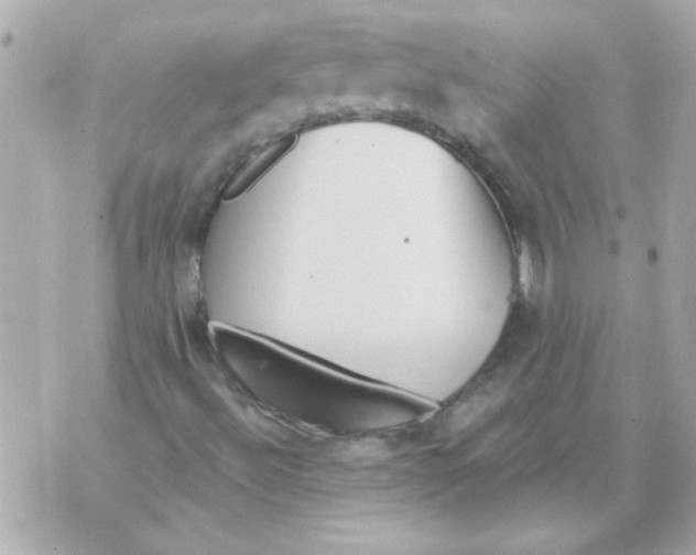 X0000070421492200607072321