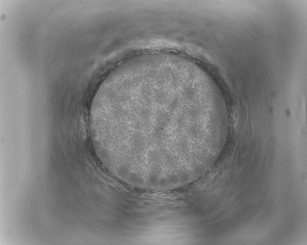 X0000070421493200607072321