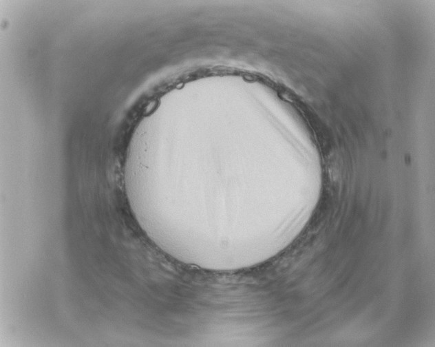 X0000070421495200607072321