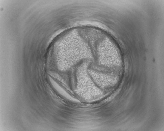 X0000070421497200607072321