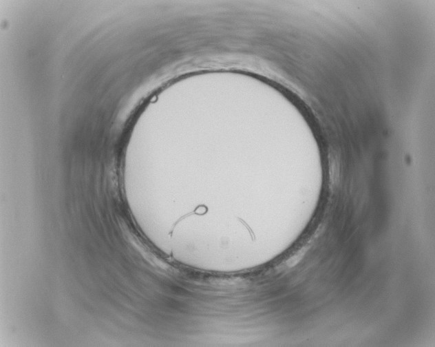 X0000070421498200607072321