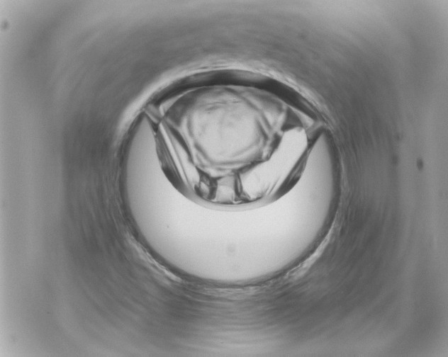 X0000070421502200607072321