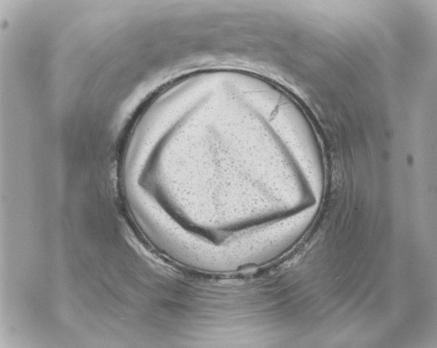 X0000070421503200607072321