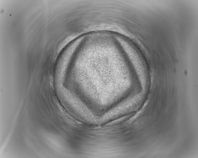 X0000070421505200607072321