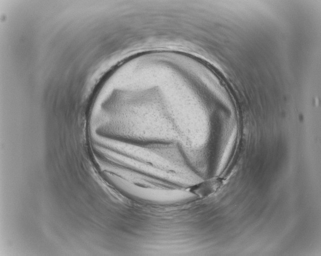 X0000070421507200607072321