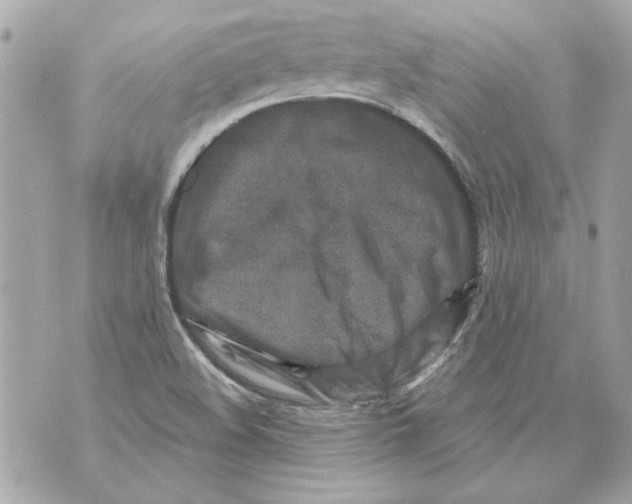 X0000070421508200607072321