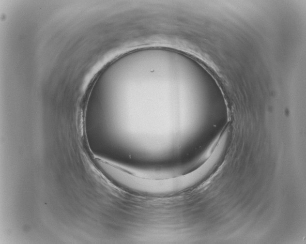 X0000070421510200607072321