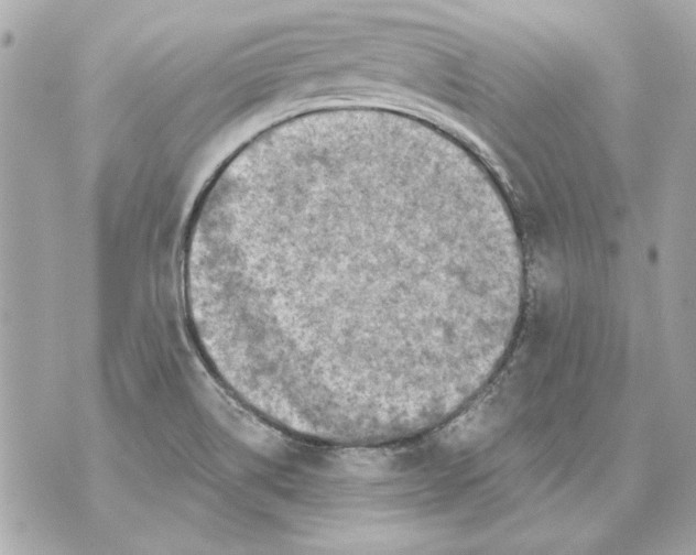 X0000070421514200607072321