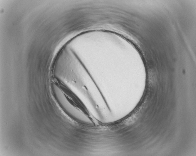 X0000070421517200607072321