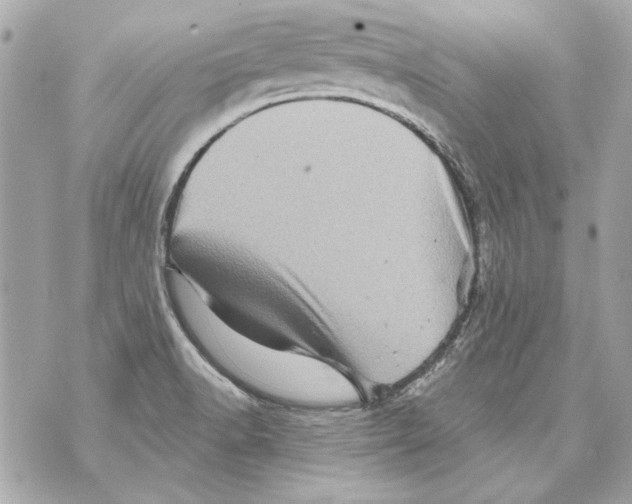 X0000070421518200607072321