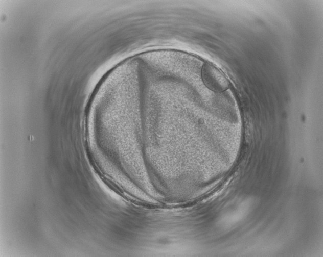 X0000070421519200607072321