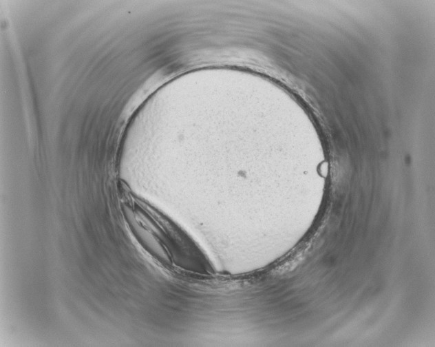 X0000070421521200607072321