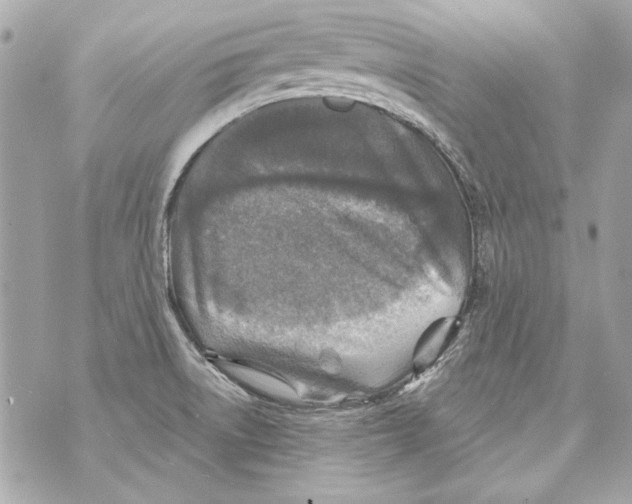 X0000070421522200607072321