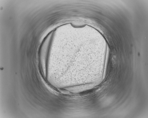 X0000070421523200607072321