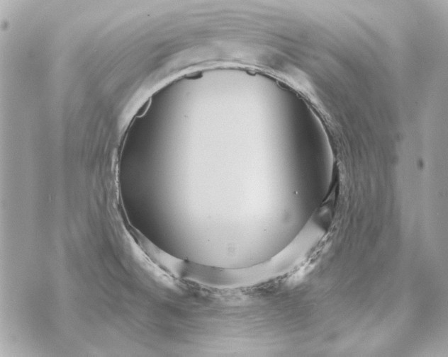 X0000070421524200607072321