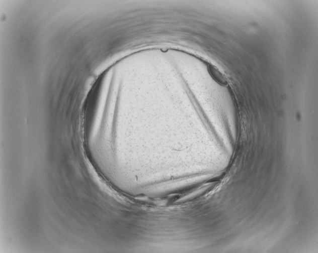 X0000070421526200607072321