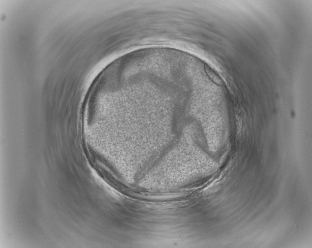 X0000070421527200607072321