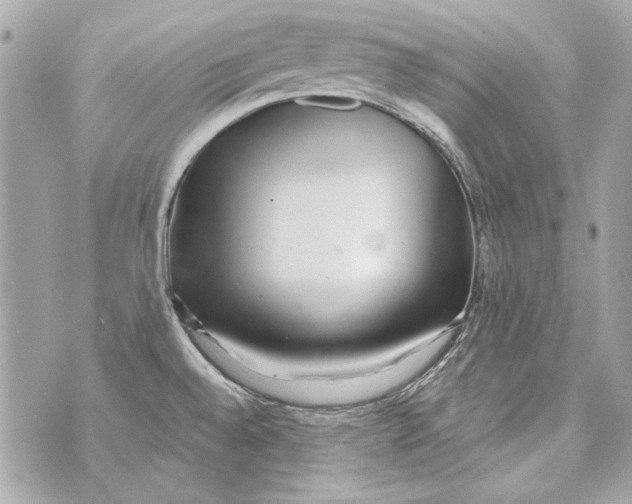 X0000070421528200607072321