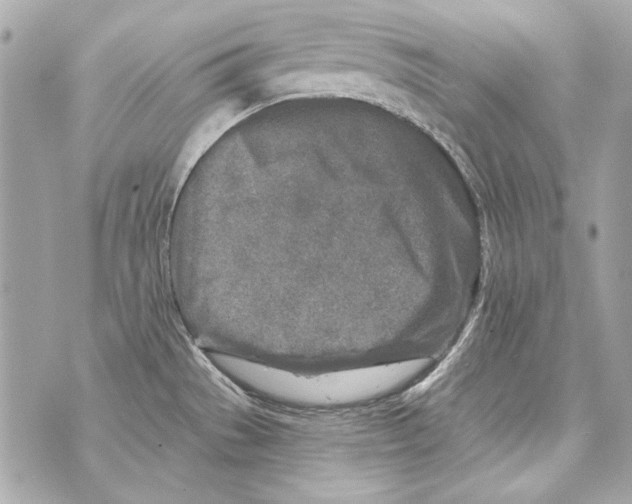 X0000070421529200607072321