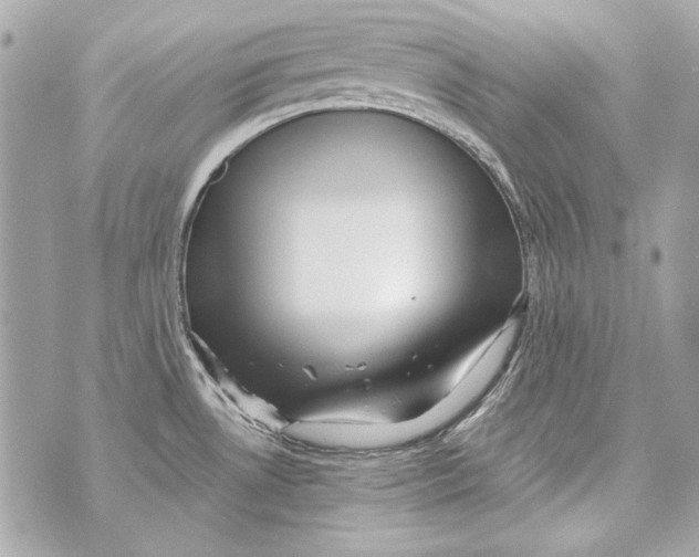 X0000070421530200607072322