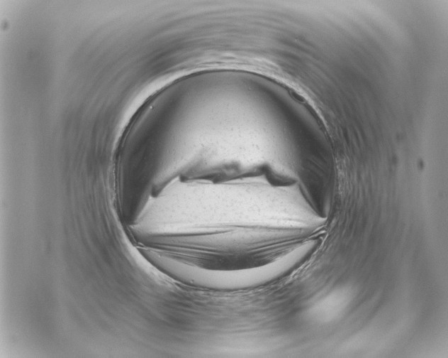 X0000070421531200607072322