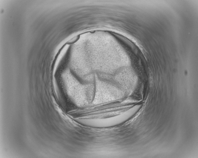 X0000070421534200607072322