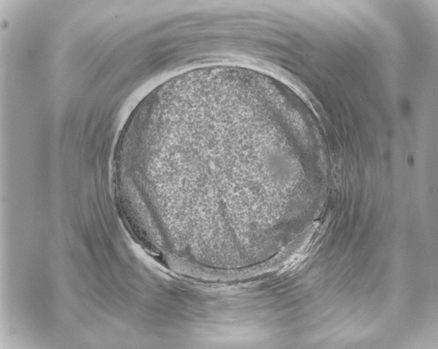 X0000070421535200607072322