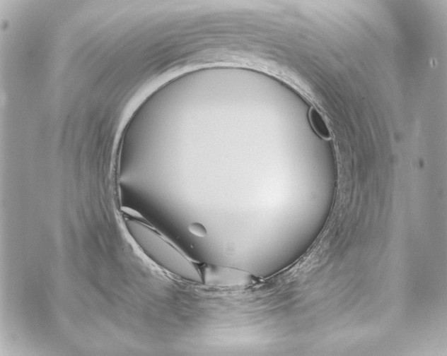 X0000070421536200607072322