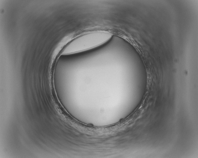 X0000070430006200606091014