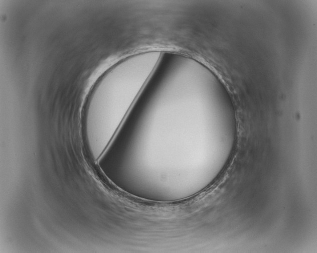 X0000070430008200606091014