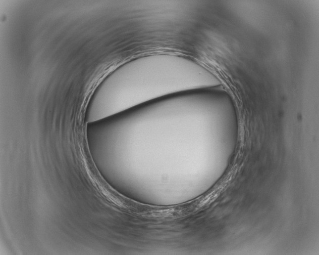 X0000070430049200606091013