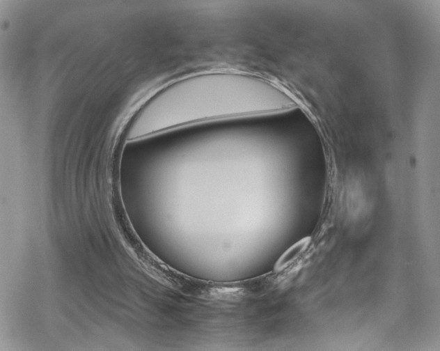 X0000070430055200606091013