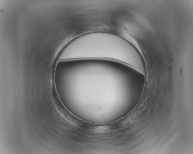X0000070430059200606091013